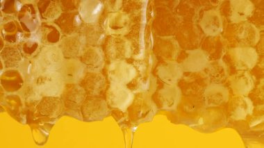 Sarı arka planda bal peteklerinden altın bal damlıyor. Balmumu bal peteklerine yakın çekim. Makro atış. Sağlıklı yeme kavramı.