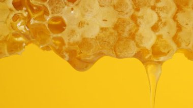 Sarı arka planda bal peteklerinden altın bal damlıyor. Balmumu bal peteklerine yakın çekim. Makro atış. Sağlıklı yeme kavramı.