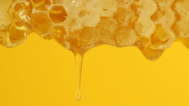 Sarı arka planda bal peteğinden altın bal damlıyor. Balmumu bal peteklerine yakın çekim. Makro atış. Sağlıklı yeme kavramı.