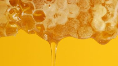 Sarı arka planda bal peteklerinden altın bal damlıyor. Balmumu bal peteklerine yakın çekim. Makro atış. Sağlıklı yeme kavramı.
