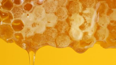 Sarı arka planda bal peteklerinden altın bal damlıyor. Balmumu bal peteklerine yakın çekim. Makro atış. Sağlıklı yeme kavramı.