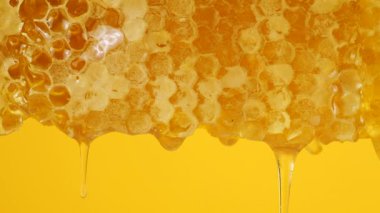 Sarı arka planda bal peteğinden altın bal damlıyor. Balmumu bal peteklerine yakın çekim. Makro atış. Sağlıklı yeme kavramı.