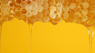Sarı arka planda bal peteklerinden altın bal damlıyor. Balmumu bal peteklerine yakın çekim. Makro atış. Sağlıklı yeme kavramı.