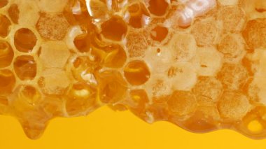 Sarı arka planda bal peteklerinden altın bal damlıyor. Balmumu bal peteklerine yakın çekim. Makro atış. Sağlıklı yeme kavramı.