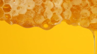 Sarı arka planda bal peteklerinden altın bal damlıyor. Balmumu bal peteklerine yakın çekim. Makro atış. Sağlıklı yeme kavramı.