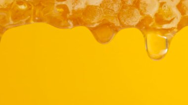 Sarı arka planda bal peteklerinden altın bal damlıyor. Balmumu bal peteklerine yakın çekim. Makro atış. Sağlıklı yeme kavramı.