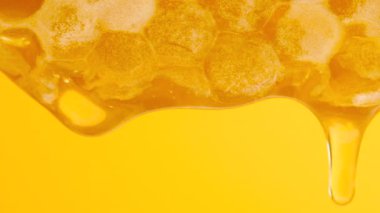 Balpeteklerinden akan altın bal. Balmumu bal peteklerine yakın çekim. Makro atış. Sağlıklı yeme kavramı.