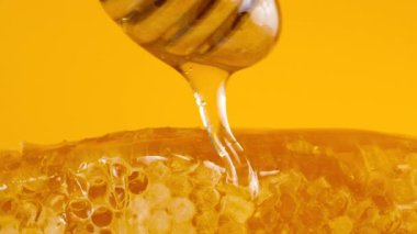 Altın bal akıntıları kaşık Milli sarı arka planda bal peteklerinin üzerine damlıyor. Balmumu bal peteklerine yakın çekim. Makro atış. Sağlıklı yeme kavramı.