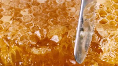 Bal peteğinin üst katmanını bıçakla kesmek. Balmumu hücrelerini arı balı ile ahşap meşe uçlu buğday kesme tahtasına yaklaştır. Sağlıklı yeme kavramı.