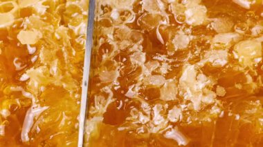 Bal peteklerini, meşe ağacından yapılmış tahıl kesme tahtasına karşı bıçakla kesmek. Sağlıklı yeme kavramı.