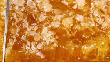 Bal peteklerini, meşe ağacından yapılmış tahıl kesme tahtasına karşı bıçakla kesmek. Sağlıklı yeme kavramı.