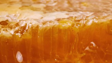 Bal peteğinin üst katmanını bıçakla kesmek. Balmumu hücrelerini arı balı ile kapatın. Sağlıklı yeme kavramı.