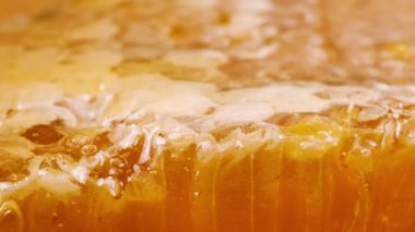 Bal peteğinin üst katmanını bıçakla kesmek. Balmumu hücrelerini arı balı ile kapatın. Sağlıklı yeme kavramı.