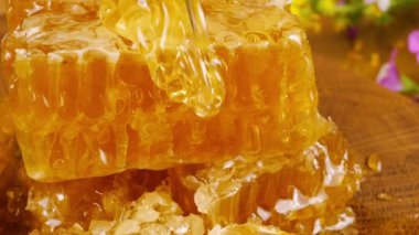 Altın bal akıntıları damlıyor ve bal peteğinin üzerine dökülüyor. Tahta bir meşe ağacından kesilmiş tahtanın üzerinde vahşi yaz çiçeklerinin arka planına karşı. Balmumu bal peteklerinin yakın plan görüntüleri.