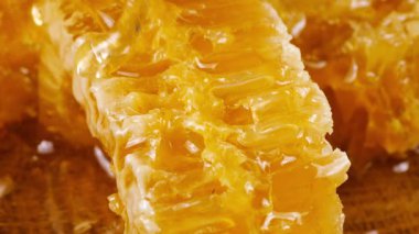 Altın bal akıntıları damlar ve meşe ağacından yapılmış tahtanın ucunda duran bal peteğinin üzerine dökülür. Balmumu bal peteklerine yakın çekim. Sağlıklı yeme kavramı.
