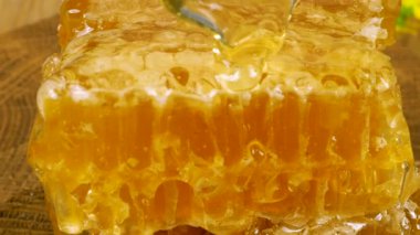 Tahta bir meşe ağacını baldan tahıl kesme tahtasını bıçakla kepçeleyip bal peteğine aktararak temizlemek. Balmumu hücrelerini arı balı ile kapatın. Sağlıklı yeme kavramı.