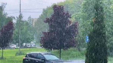 Şehrin sokaklarına bahar yağmuru yağıyor. Ağaçların arka planına büyük yağmur damlaları düşüyor.