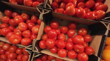 Süpermarketteki karton kutularda sarı ve kırmızı domatesler..