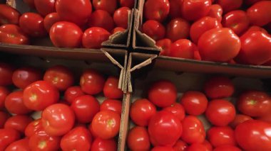 Süpermarketteki karton kutularda sarı ve kırmızı domatesler..