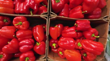 Süpermarkette karton kutularda kırmızı, yuvarlak biberler..
