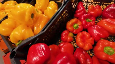 Sarı ve kırmızı, süpermarkette plastik kutularda tatlı biberler..