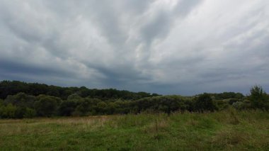Ormanda ve tarlada yeşil çimenli bulutlar.