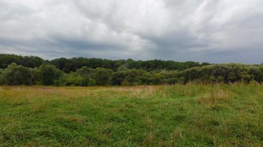 Ormanda ve tarlada yeşil çimenli bulutlar.