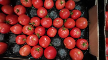 Süpermarkette karton kutularda kırmızı domatesler..