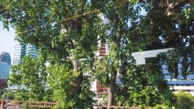 Montreal, Kanada - 10 Ağustos 2025 Montreal 'in modern gökdelenleri ve çeşitli tasarımı olan binaları olan bir yerleşim alanı. Geçen bir trenden görüntü. Montreal, Quebec, Kanada.