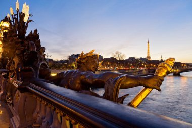 Pont Alexandre III in Paris at twilight, France