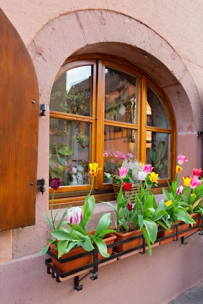 Цветы Окне Традиционная Деревня Эльзасе Франция — стоковое фото