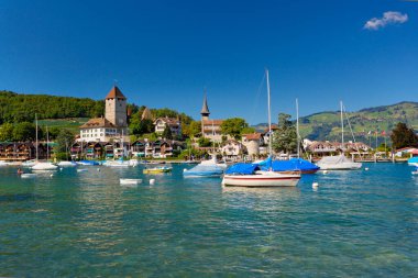 Spiez şehrinin panoramik manzarası, İsviçre Alpleri, İsviçre