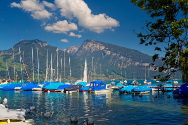 Spiez şehrinin panoramik manzarası, İsviçre Alpleri, İsviçre