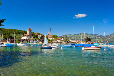 Spiez şehrinin panoramik manzarası, İsviçre Alpleri, İsviçre