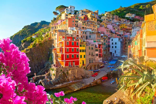 Panoramic View Colorful Village Manarola Cinque Terre Liguria Italy — Stock Photo, Image