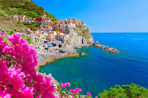 Panoramiczny Widok Kolorowych Wsi Manarola Cinque Terre Liguria Włochy — Zdjęcie stockowe