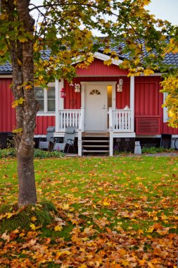 Kuzey İsveç 'te Solleftea Bölgesi' nde Idyllic sonbaharı
