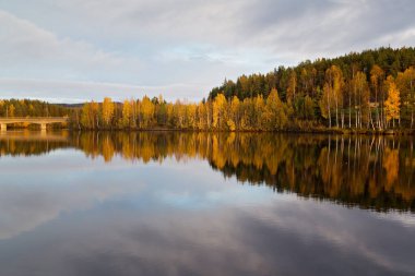 Kuzey İsveç 'te Solleftea Bölgesi' nde Idyllic sonbaharı