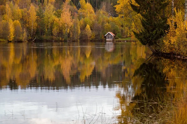 Kuzey İsveç 'te Solleftea Bölgesi' nde Idyllic sonbaharı