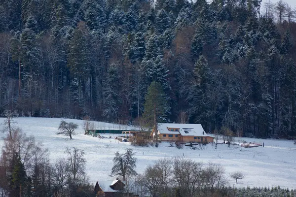 Reinach Village Vintern Schweiz Stockbild