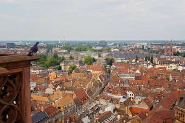 Strazburg, Alsace, Fransa 'nın panoramik manzarası