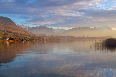 İsviçre Alpleri 'ndeki Lucerne Gölü üzerindeki Kussnacht köyünün panoramik manzarası, İsviçre Alpleri, İsviçre