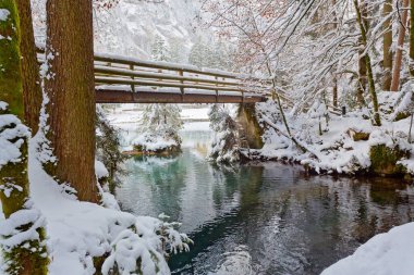 İsviçre 'nin İsviçre Alplerinde Blausee Gölü' nün panoramik manzarası