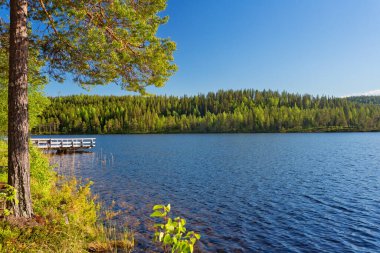 Göl ve taşlı tipik İskandinav doğası, Storuman Gölü, İsveç Laponya, İsveç