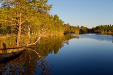 Lapland, İsveç, İskandinavya 'daki güzel Faxalven Nehri