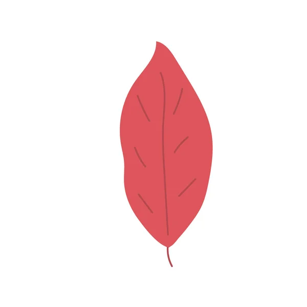 简朴的手绘和涂鸦叶秋天植物学自然当代流行矢量元素在白色背景下的图解 — 图库矢量图片