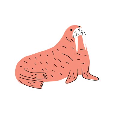 Cute walrus in Scandinavian style on a white background. Vector hand drawn kids illustration. Sea ocean. Underwater world