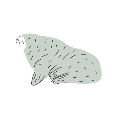 Cute walrus in Scandinavian style on a white background. Vector hand drawn kids illustration. Sea ocean. Underwater world