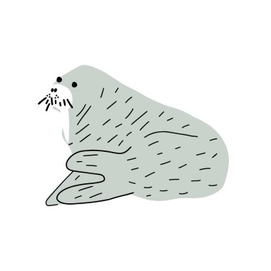 Cute walrus in Scandinavian style on a white background. Vector hand drawn kids illustration. Sea ocean. Underwater world