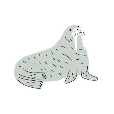 Cute walrus in Scandinavian style on a white background. Vector hand drawn kids illustration. Sea ocean. Underwater world